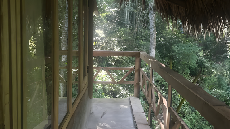 Dao House (5)